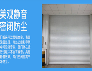 电动卷闸门厂家定制